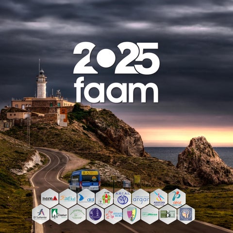 BALANCE DE GESTIÓN FAAM 2025