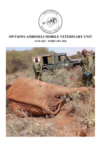 SWT/KWS Amboseli Veterinary Unit Report for January February 2026
