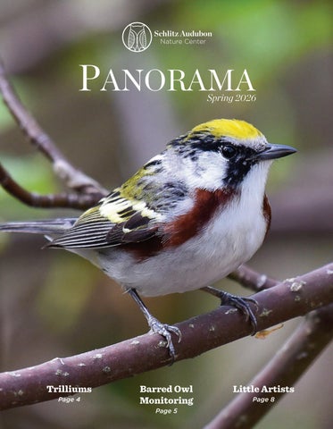 Panorama | Spring 2026