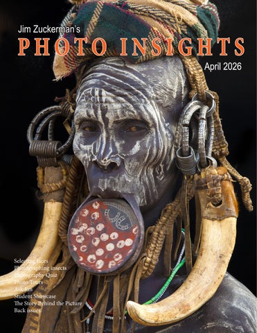 Photo Insights April 2026