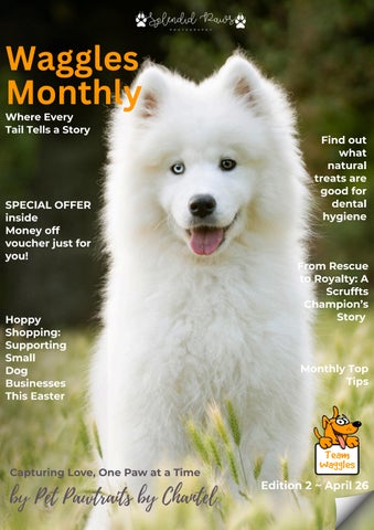  Waggles Monthly April 2026-6