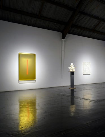 SURFACE TENSION: Focus Los Angeles 第 12 页