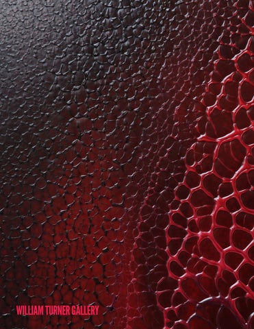 SURFACE TENSION: Focus Los Angeles 第 4 页