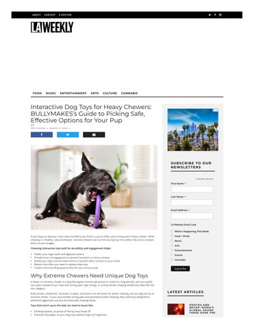 Interactive Dog Toys for Heavy Chewers: BULLYMAKES’s Guide to Picking Safe, Effective Options for Yo