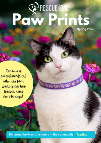 2026 Spring Newsletter 