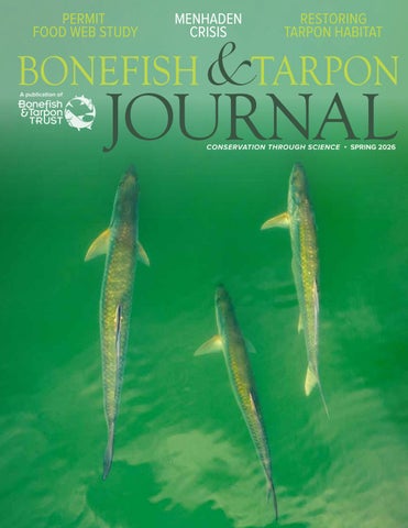Bonefish & Tarpon Journal Spring 2026