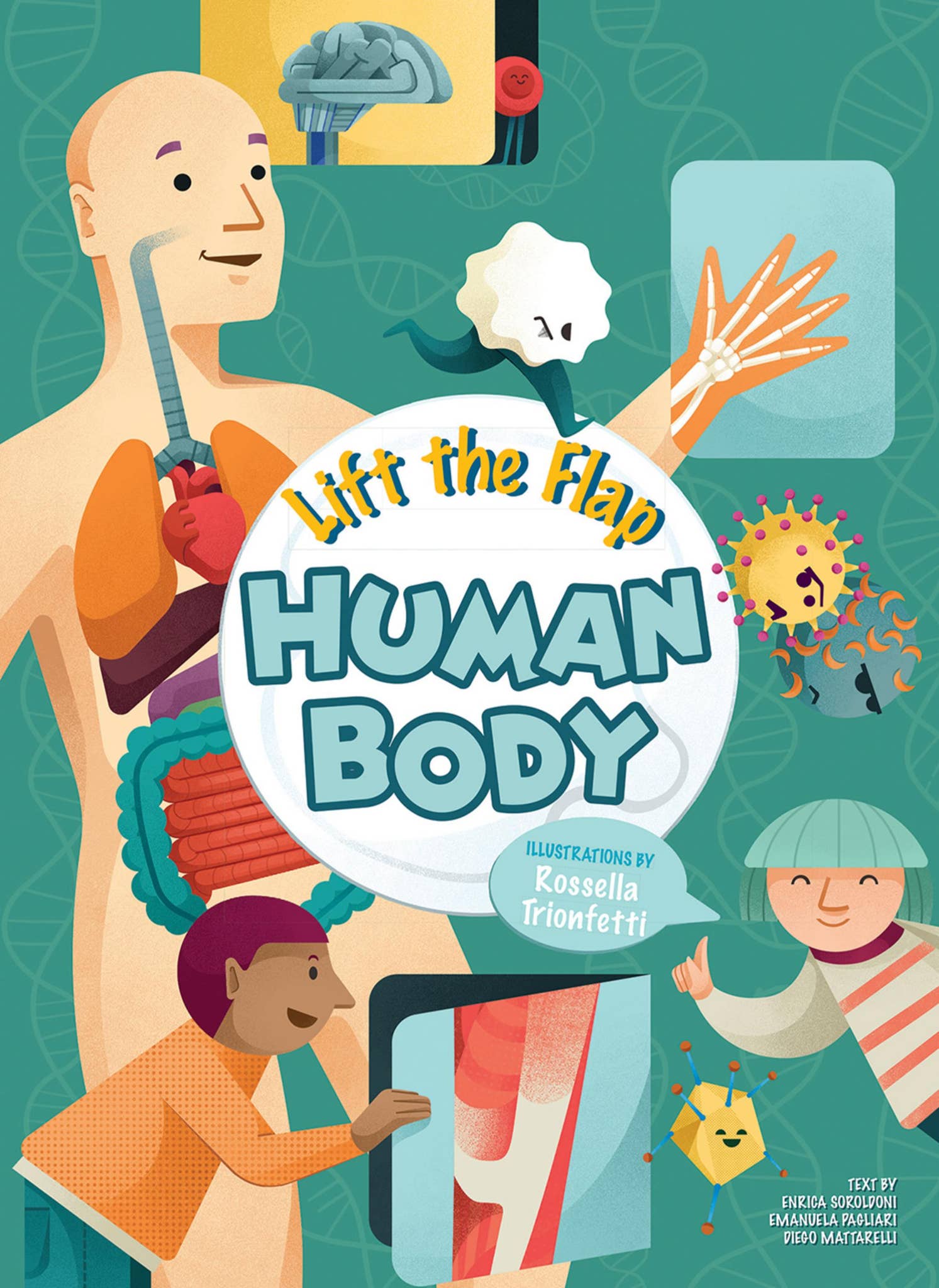 Lift the Flap Human Body by ACC Art Books - Issuu