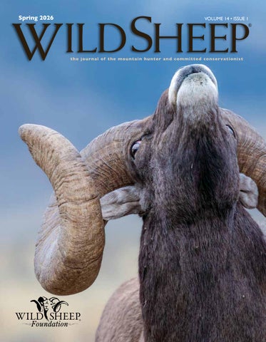 Wild Sheep Magazine - Spring2026