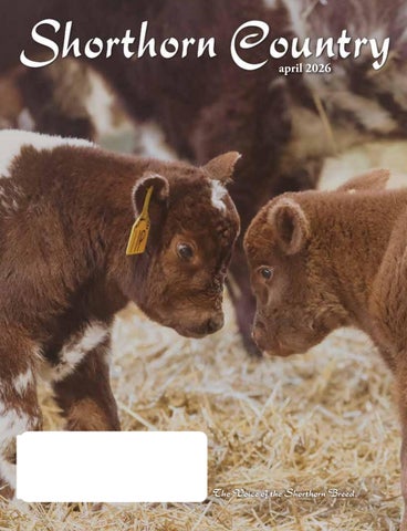 April 2026 Shorthorn Country 