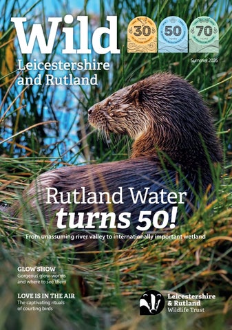 Wild Leicestershire and Rutland, Summer 2026