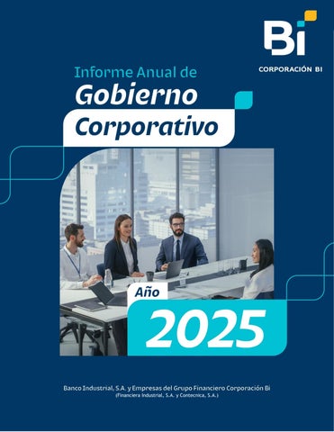 Informe Anual de Gobierno Corporativo 2025 B FISA/Público