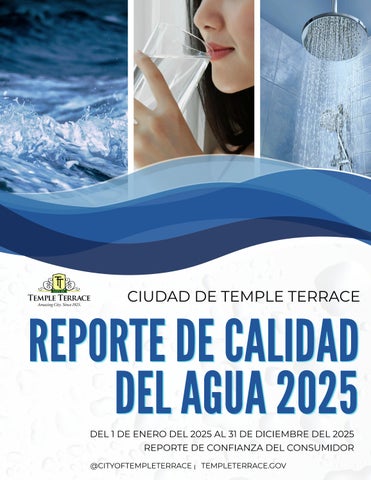 FINAL WATER REPORT SPANISH VERSION
