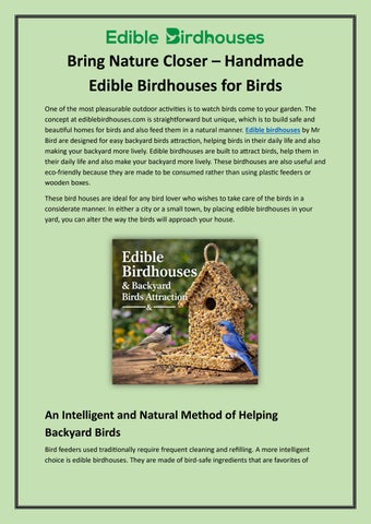 Bring Nature Closer – Handmade Edible Birdhouses for Birds