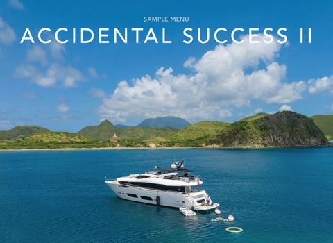 ACCIDENTAL SUCCESS II Sample Menu 