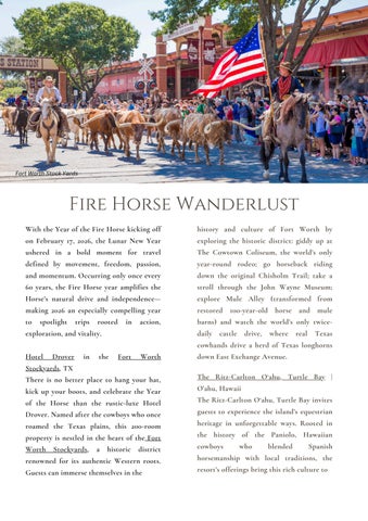 Fire Horse Wanderlust