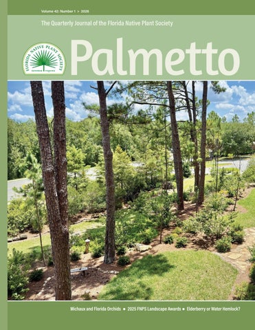 Palmetto 42(1)