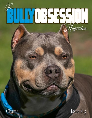 The Bully Obsession  #13