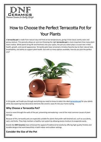 How to Choose the Perfect Terracotta Pot for Your Plants