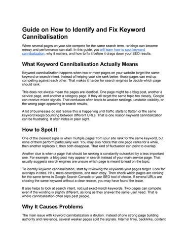 Guide on How to Identify and Fix Keyword Cannibalisation
