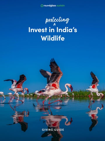 RG_Sustain_Giving_Brochure_2026_Apr5