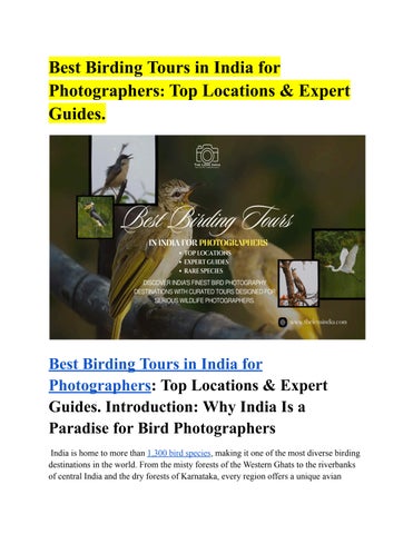 Best Birding Tours in India for Photographers