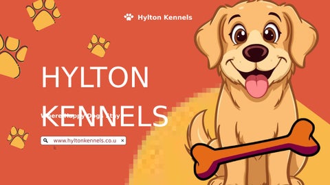 Hylton Kennels – Dog Boarding & Daycare