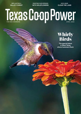 April 2026 Wires TCP