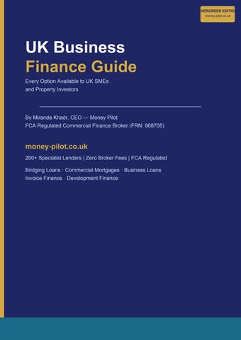 money_pilot_issuu_platform33