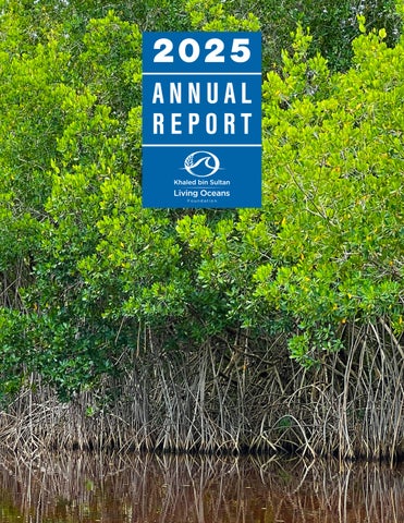 Living Oceans Foundation 2025 Annual Report