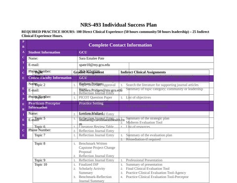 Individual Success Plan NRS 493 Spate
