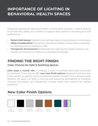 The Future of Behavioral Healthcare 灯饰 第 2 页