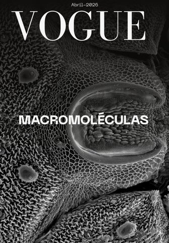 Revista Marroquinería moderna beige_20260407_201832_0000