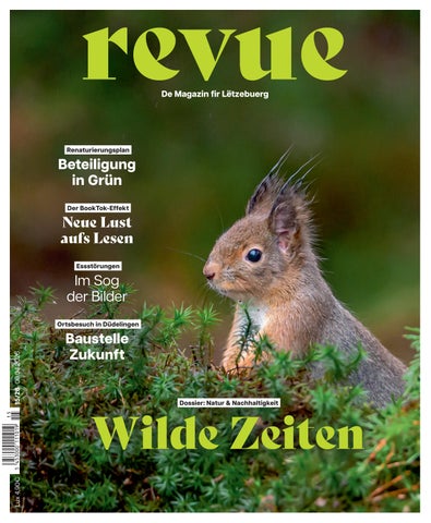 revue 15/2026