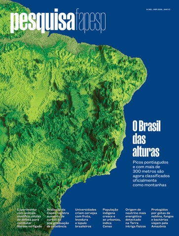 O Brasil das alturas 