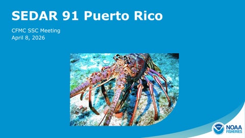 SEDAR 91 Puerto Rico | Presentation for the CFMC SSC Meeting