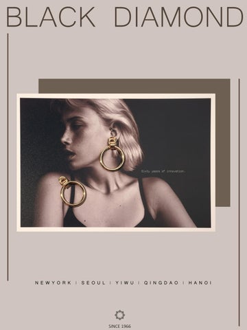 BLACK DIAMOND COMPANY PROFILE 2026