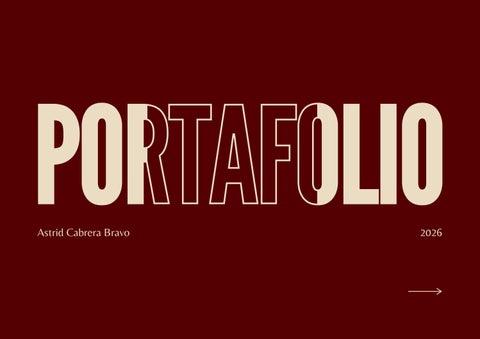 Portafolio Profesional