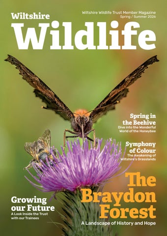 Wiltshire Wildlife Trust Member Magazine 