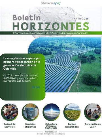 Boletín horizontes Nº118