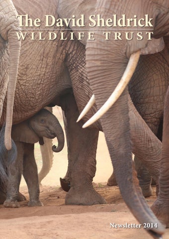 DSWT Annual Newsletter 2014