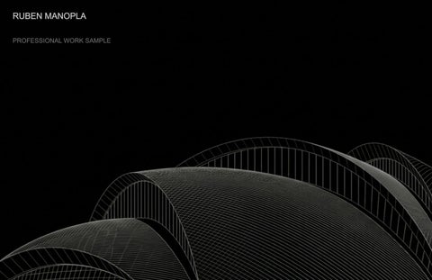 Ruben Manopla Professional Work Sample