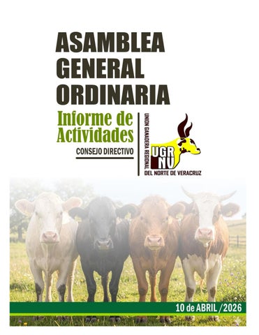 INFORME DEL CONSEJO DIRECTIVO 2025