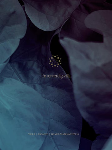 Villa Eiganesveien Prospekt