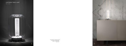 REFLEX - CATALOGO ILLUMINAZIONE 第 21 页