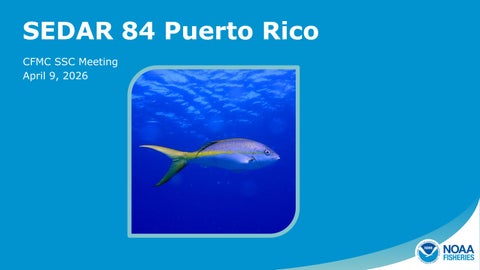 SEDAR 84 Puerto Rico