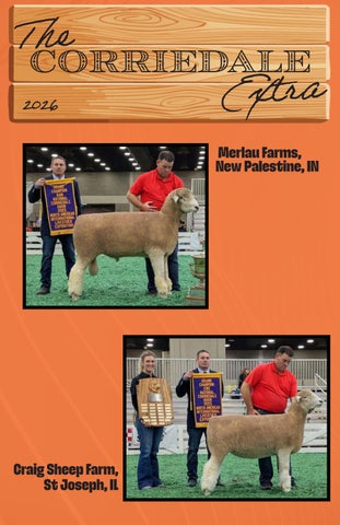 The Corriedale Extra Spring 2026