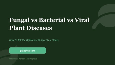 Fungal vs Bacterial vs Viral Plant Diseases – How to Tell the Difference