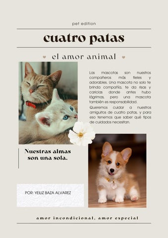 Cuatro patas