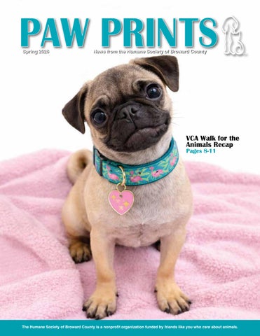 Paw Prints Spring 2026