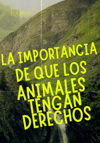 La Importancia de que los Animales tengan Derechos